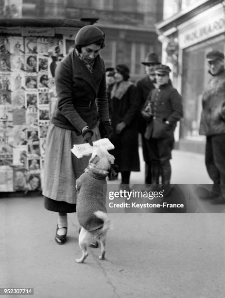 Une marchande de journaux a dressé un chien pour apporter des journaux aux clients, à Paris, France en 1934.