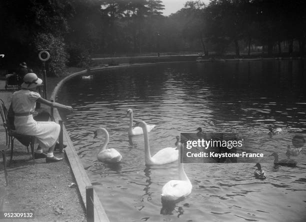 Cygnes et canards sur le lac du bois de Boulogne, à Paris, France en septembre 1934.