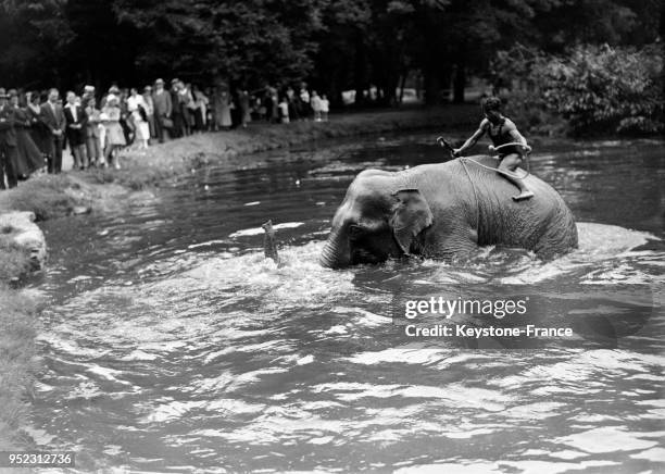 Un éléphant prend son bain au Jardin d'Acclimatation, un jeune homme sur son dos, à Paris, France en 1932.