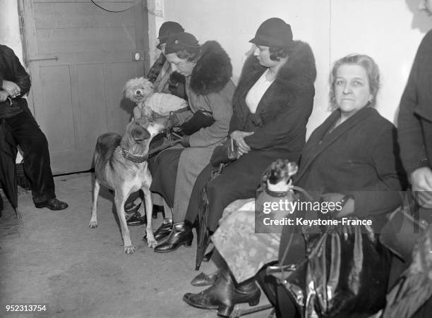 Dans la salle d'attente du dispensaire gratuit pour animaux malades, des femmes attendent leur tour avec leurs chiens, à Paris, France le 5 février...