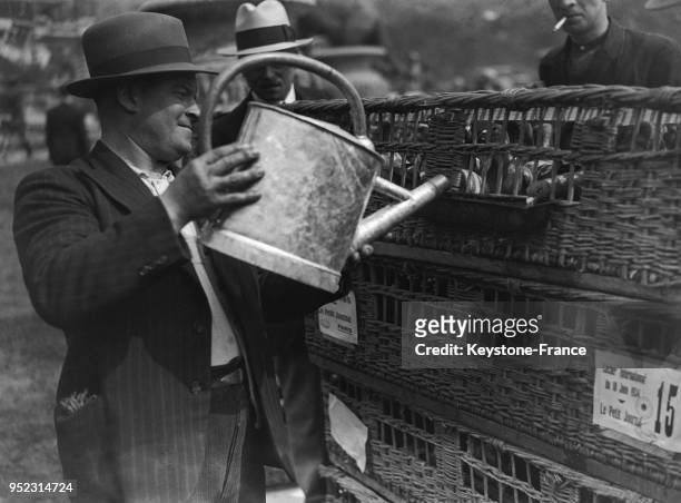 Un homme, avec un arrosoir, rempli d'eau les réservoirs des pigeons installés dans des caisses avant le lâcher, au Trocadéro à Paris, France en juin...