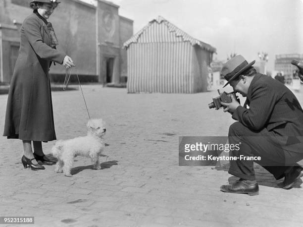 Un photographe prend en photo en petit chien tenue en laisse par sa maîtresse à l'Exposition canine à la Porte de Versailles, à Paris, France en...