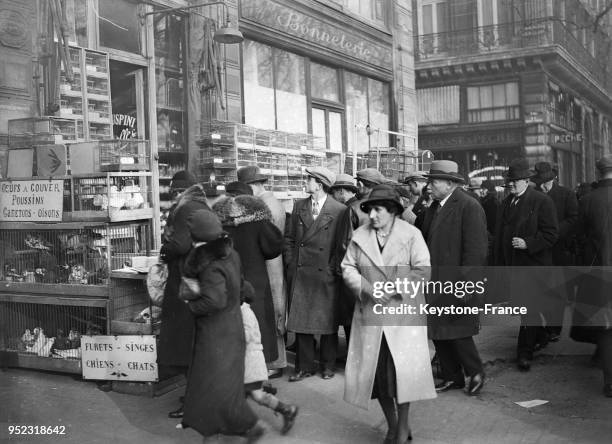 Les Parisiens se pressent dans une graineterie pour y acheter des graines et semer dans leurs jardins, à Paris, France en 1934.
