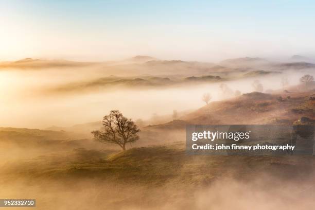 atmospheric lake district landscape. uk. - loughrigg fells stock-fotos und bilder