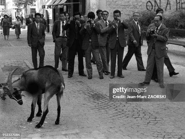 Des touristes asiatiques prennent en photo une chèvre dans la rue, Place Edmont Michelet, dans le quartier de Beaubourg le 3 octobre 1978, Paris,...