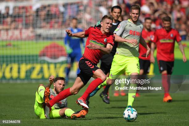 Marco Hoeger of Koeln tires to stop Nils Petersen of Freiburg during the Bundesliga match between Sport-Club Freiburg and 1. FC Koeln at...