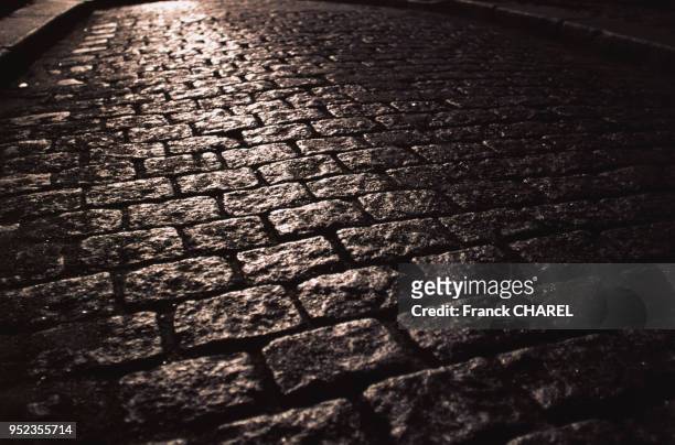 Chaussée pavée d'une rue de Montmartre, à Paris, France.