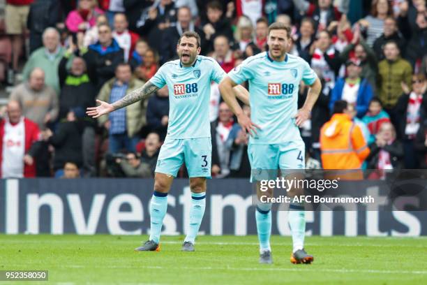 Steve Cook of Bournemouth is not happy after Dusan Tadic of Southampton scores a goal to make it 1-0 during the Premier League match between...