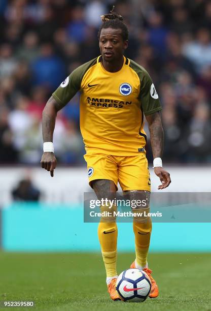 Gaetan Bong of Brighton Hove Albion in action during the Premier League match between Burnley and Brighton and Hove Albion at Turf Moor on April 28,...