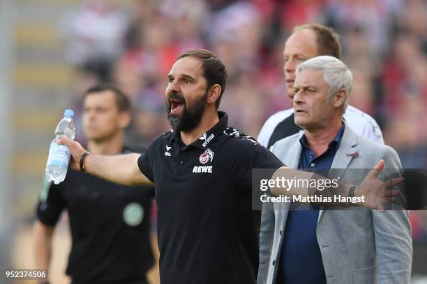 Stefan Ruthenbeck, coach of Koeln, gestures while Armin Veh, sporting director of Koeln, looks on during the Bundesliga match between Sport-Club...