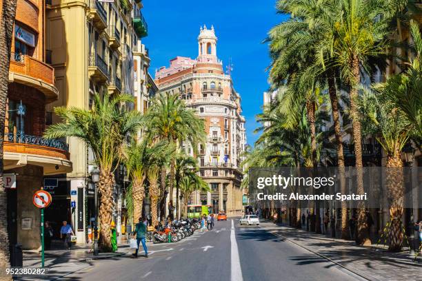 сarrer de les barques street with palm trees on a sunny day in valencia, spain - valencia spain stock-fotos und bilder