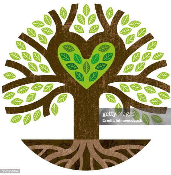 little round green heart tree - roots logo stock illustrations