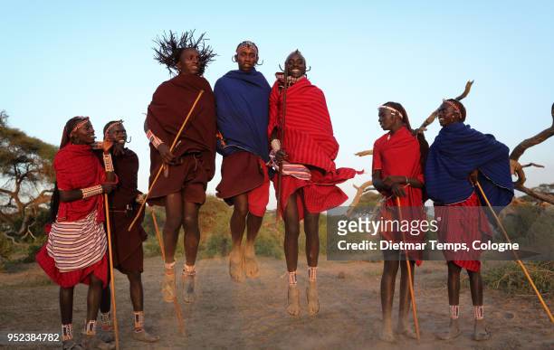 young maasai warriors, kenya - dietmar temps stock-fotos und bilder
