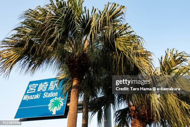 palm trees and miyazaki station on board in miyazaki city in japan - miyazaki prefecture stock pictures, royalty-free photos & images