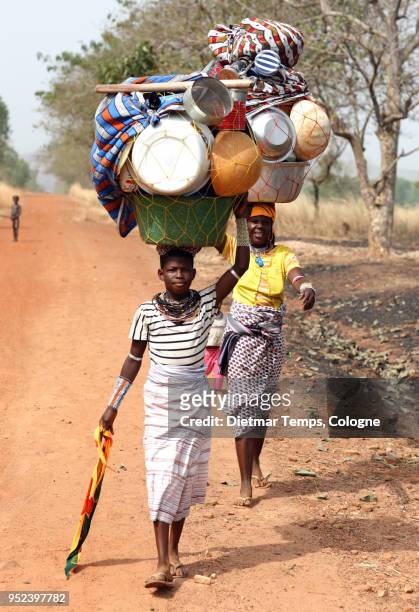 fulani women, benin - dietmar temps stock-fotos und bilder