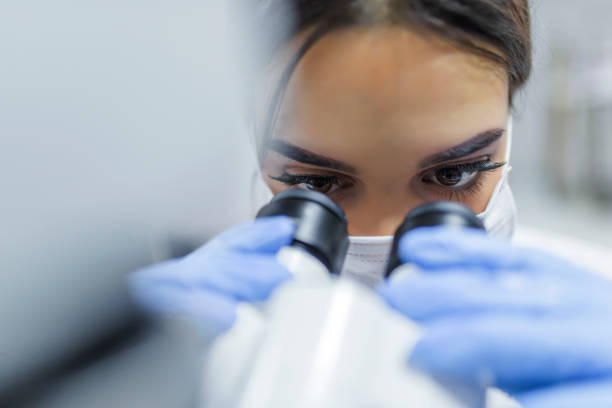 Someone Using Optical Microscope 21,584 Person Looking Into Microscope Stock Photos, High-Res Pictures ...