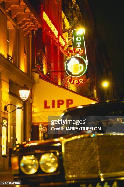 Devant la brasserie Lipp Paris VIème: devant la brasserie Lipp.