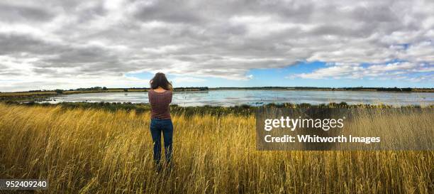 woman standing in field looking out over shallow lake in south-west victoria, australia - streatham 個照片及圖片檔