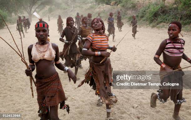 a group of hamer women, ethiopia - dietmar temps stockfoto's en -beelden