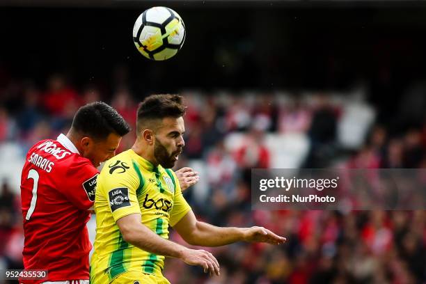 Benfica's Greek midfielder Andreas Samaris vies with Tondela's forward Miguel Cardoso during the Portuguese League football match between SL Benfica...