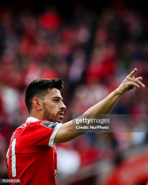 Benfica's forward Pizzi celebrates a goal during the Portuguese League football match between SL Benfica and Tondela at Luz Stadium in Lisbon on...