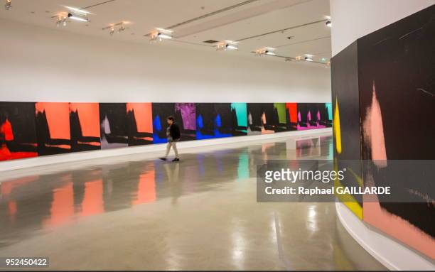 Les 102 Shadows' oeuvre d'Andy Warhold, père du Popart, exposée dans la galerie courbe du musée d'Art Moderne, le 1er octobre 2015, Paris, France.