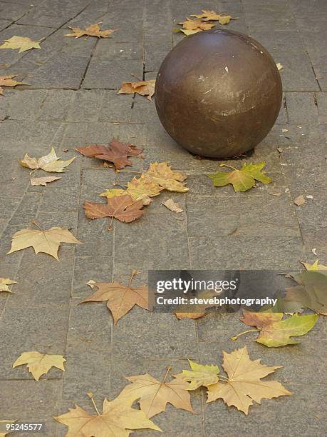 autumn leaves - stevebphotography stock pictures, royalty-free photos & images