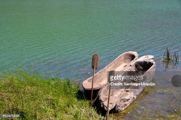dugout canoes on lakeshore - dugout 個照片及圖片檔
