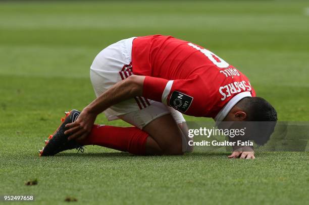 Benfica forward Raul Jimenez from Mexico during the Primeira Liga match between SL Benfica and CD Tondela at Estadio da Luz on April 28, 2018 in...