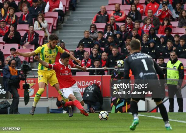 Benfica forward Raul Jimenez from Mexico with CD Tondela defender Jorge Fernando from Portugal in action during the Primeira Liga match between SL...