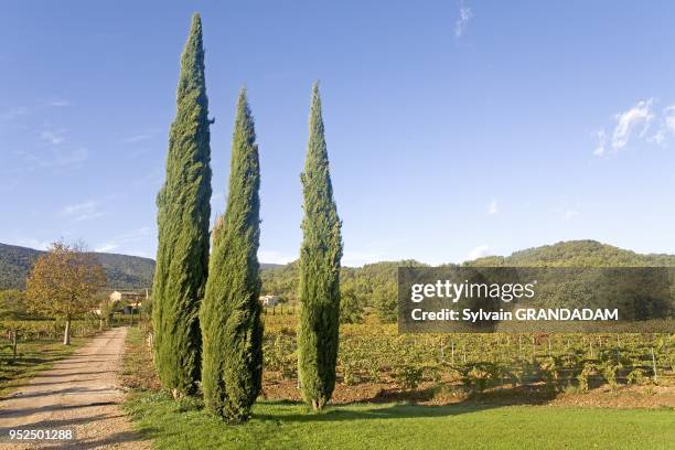 Petit Hotel de luxe et restaurant "la Bastide a Marie", proprietaire famille Sibuet, Menerbes , Luberon. Vaucluse . Provence. France.