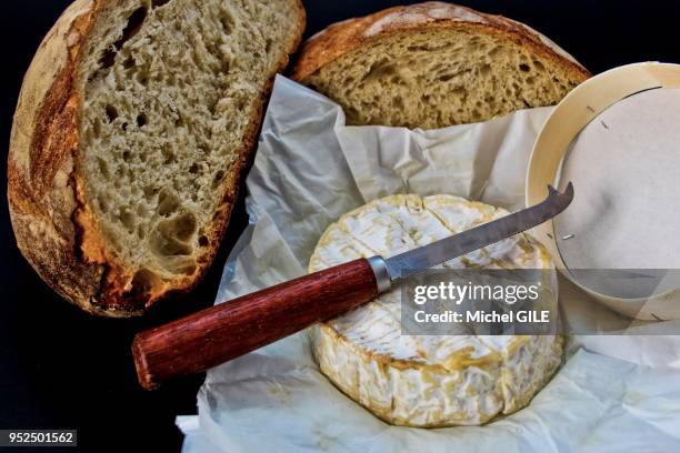Fromage camembert, couteau et boule de pain, 6 mars 2017, Normandie, France.