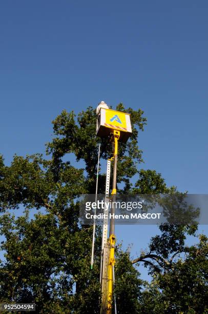 Un apiculteur avec une vareuse de protection tente de décrocher un nid de frelons à pattes jaunes ou frelons asiatiques dans un arbre pour le...