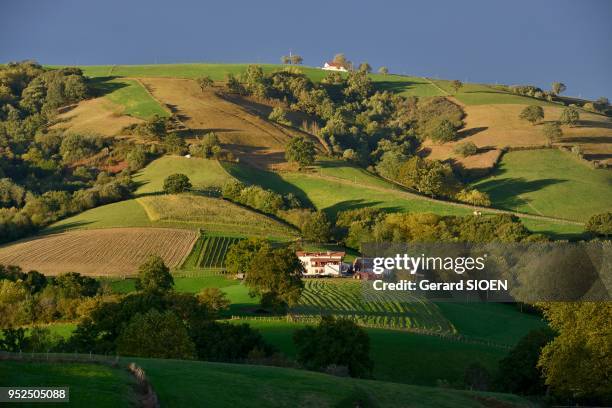 Ferme Basque Ferme Basque Photos and Premium High Res Pictures - Getty Images