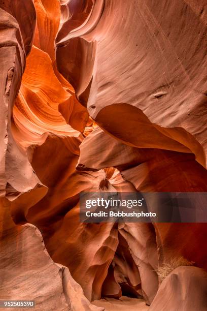 antelope canyon vertical - vermilion cliffs imagens e fotografias de stock