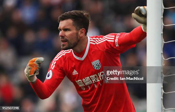 Ben Foster of West Bromwich Albion is seen during the Premier League match between Newcastle United and West Bromwich Albion at St. James Park on...