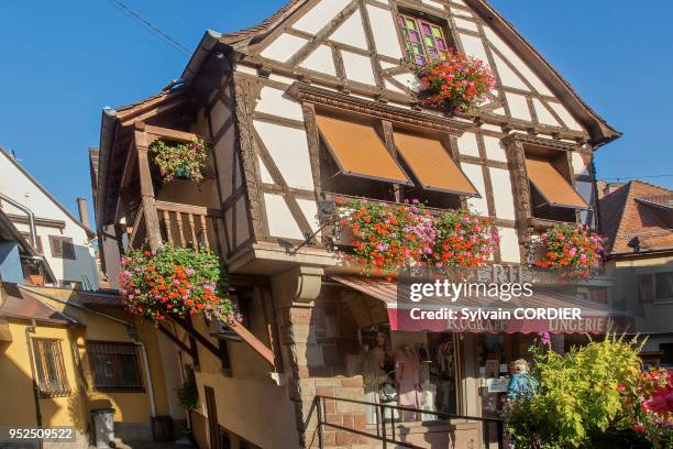 France,Bas-Rhin ,Obernai,maison à colombage,rue Sainte Odile.