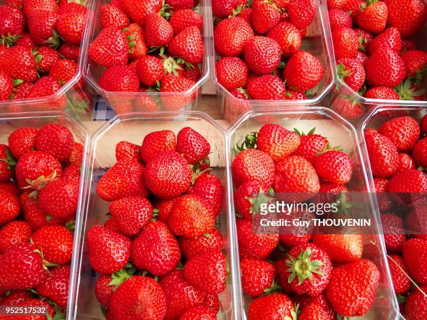 Barquettes de fraises sur le marché, Villers-sur-Mer, France.