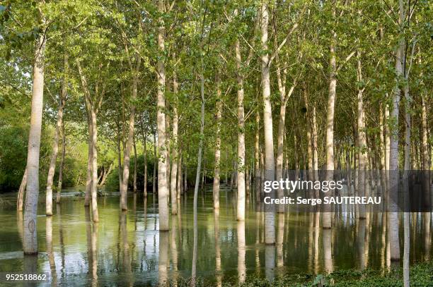 Inondations dans le chablisien en mai 2013 par la crue du Serein, La Chapelle-Vaupelteigne, Yonne.