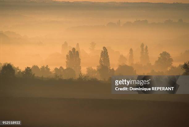 Paysage du Haut Agenais, lever du soleil a contre-jour sur cette campagne vallonnee traditionnellement agricole, environs de Monflanquin,...