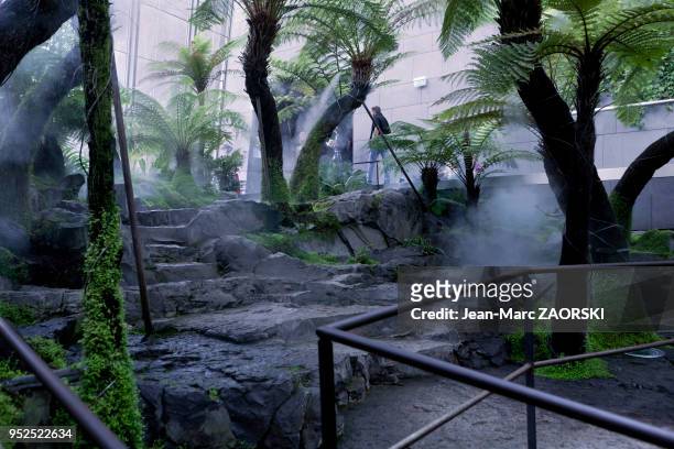 Promenade dans la serre du parc Vulcania, parc à thème scientifique unique en son genre, creusé dans la roche volcanique, au ¾ sous-terrain...