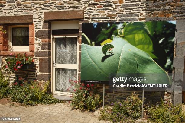 The 8th annual Photographic Festival "Peuple et Nature" at La Gacilly in Brittany".Created in 2004 by Jacques Rocher ,the festival transforms the...