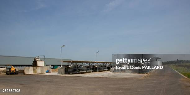 Nursery de la ferme industrielle des 1000 vaches le 10 juin 2015 à Buigny-Saint-Maclou, Somme, France.