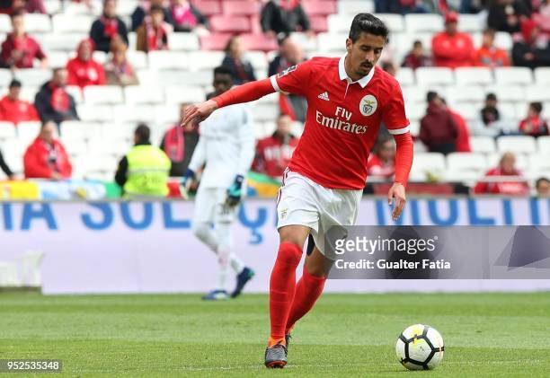 Benfica defender Andre Almeida from Portugal in action during the Primeira Liga match between SL Benfica and CD Tondela at Estadio da Luz on April...