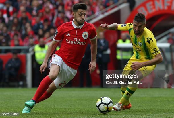 Benfica forward Pizzi from Portugal with CD Tondela midfielder Bruno Monteiro from Portugal in action during the Primeira Liga match between SL...