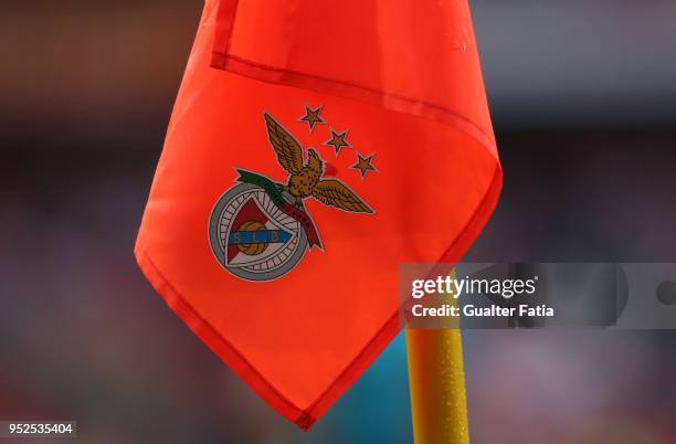 Fixture during the Primeira Liga match between SL Benfica and CD Tondela at Estadio da Luz on April 28, 2018 in Lisbon, Portugal.