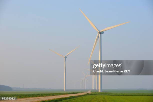 Les eoliennes du Chemin d'Ablis, 26 machines d'une puissance de 52 000 KW le 2 avril 2009 à Léthuin, France.