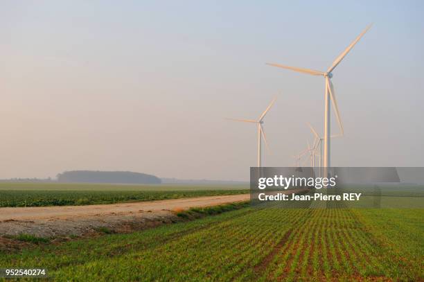 Les eoliennes du Chemin d'Ablis, 26 machines d'une puissance de 52 000 KW le 2 avril 2009 à Léthuin, France.