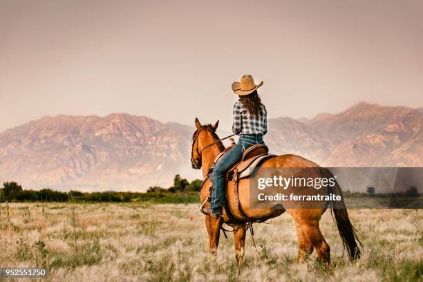 cowgirl reiten - 1 woman 1 horse stock-fotos und bilder