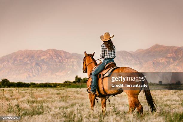 cowgirl horseback riding - horse stock pictures, royalty-free photos & images